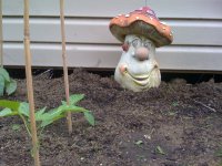 garden+2.jpg