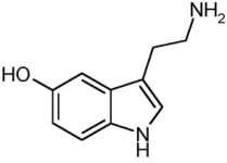 serotonin.jpg