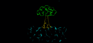 tree.png