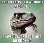 if-a-tree-falls-on-a-woman-in-a-forest-how-did-a-forest-get-into-the-kitchen%5B1%5D.jpg