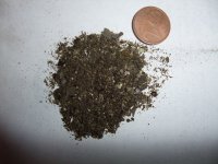 DSCF1420.JPG