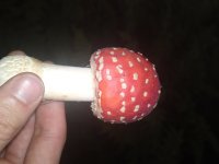 15092010530.JPG