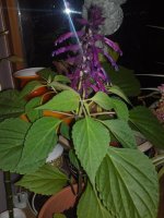 21092010544.JPG