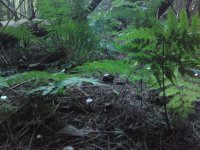 15092010532.JPG