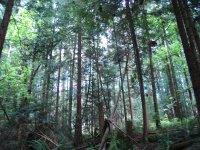 DSC04524.JPG
