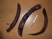 DSCF1280.JPG