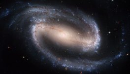 Barred+Spiral+Galaxy+NGC+1300.jpg