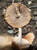 DSCF1289.jpg