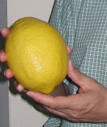 lemon.jpg