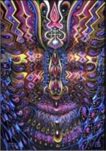 DMT-Gray.jpg