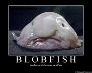 633618722254225790-blobfish.jpg