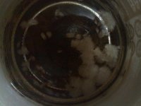 02092010181.jpg