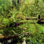 2010-06-12-1200dpi-cs4.jpg