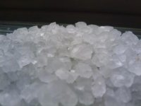 213.jpg