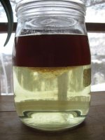 oil_water_layers_harmine.JPG
