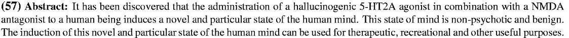 NMDA-5ht2a+abstract.jpg