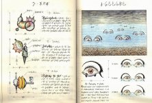 Codex-seraphinianus6.jpg