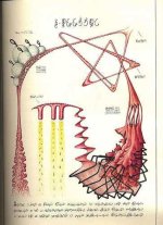 Codex-seraphinianus2.jpg