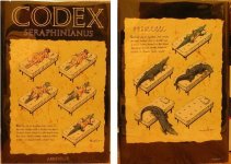 Codex-seraphinianus1.jpg
