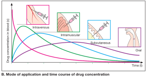 mode+of+application+and+time+course+of+drug+concentration.png