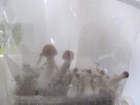 IMG_0805.JPG