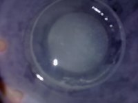 crystals1.jpg