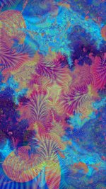 2011-08-10-150dpi-cs4z.jpg