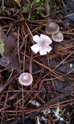 IMAG0210.jpg