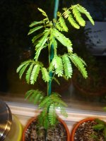 DSC04783.JPG
