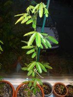 DSC04784.JPG