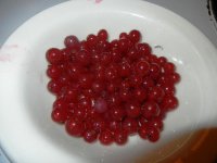 currant2.jpg