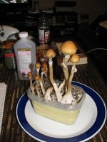 IMG_0806.JPG