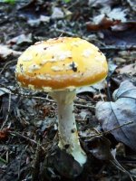 100_0240.jpg