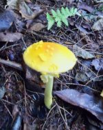 100_0278.jpg