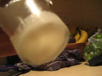 IMG_1122.JPG