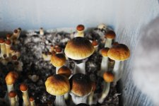 DSC_0492.JPG