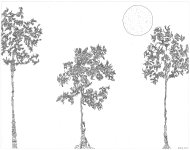 family-trees.jpg