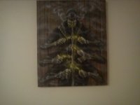 DSC00231.jpg
