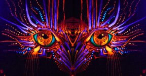 Entity+face+mirrored+sketch.jpg