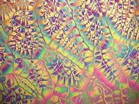 liquidcrystalunderpolarisedlight2.jpg