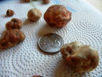 DSCN1354.jpg