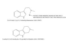 DMT+cyclization.jpg