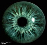 Eye+Hands.jpg