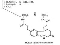 tetrahydro-lunaridine.jpg