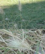 DSC03209.JPG