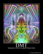 DMT.jpg