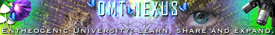 Dmt+Nexus.png