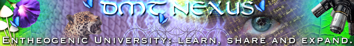 Dmt+Nexus+02.png