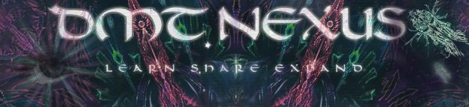 DMT+banner.jpg