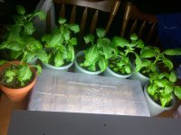 IMG-20111228-00580.jpg